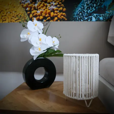 לינה וארוחת בוקר Hradebni 16 צ'סקה בודיוביצה