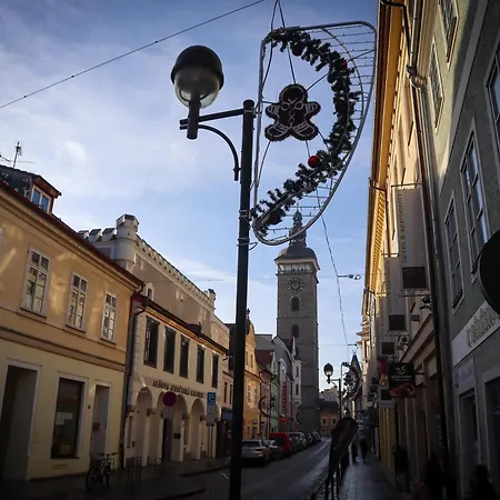 Hradebni 16 Bed & Breakfast Ceske Budejovice