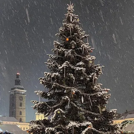 Hradebni 16 Ceske Budejovice