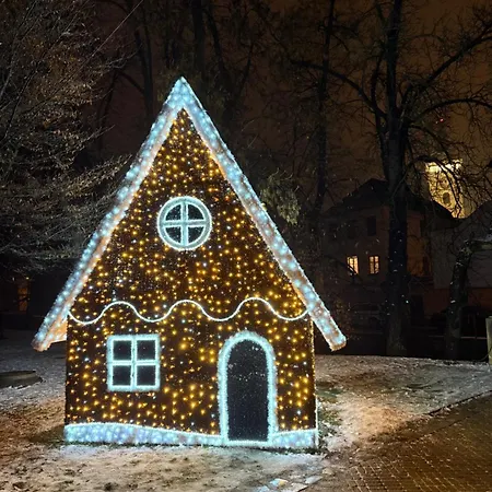 Bed & Breakfast Hradebni 16 Ceske Budejovice