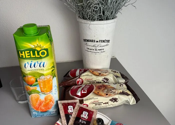 Hradebni 16 לינה וארוחת בוקר *