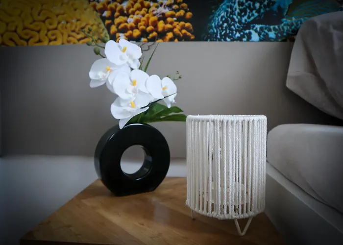 לינה וארוחת בוקר Hradebni 16 צ'סקה בודיוביצה