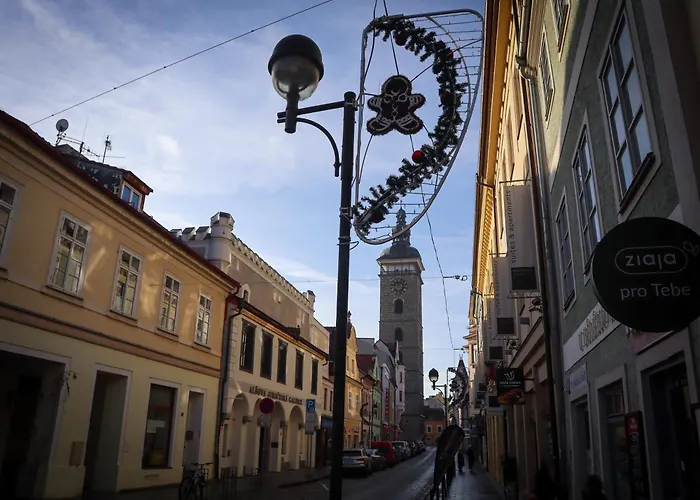 Hradebni 16 לינה וארוחת בוקר צ'סקה בודיוביצה