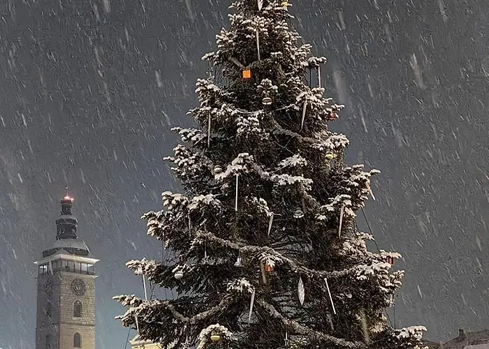 Hradebni 16 צ'סקה בודיוביצה