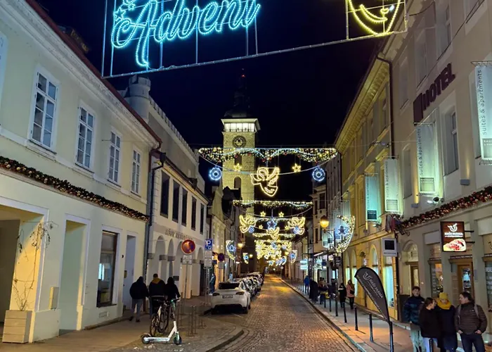 Hradebni 16 B&B 체스케부데요비체