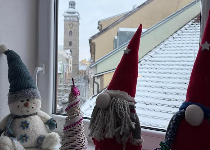 Hradebni 16 צ'סקה בודיוביצה